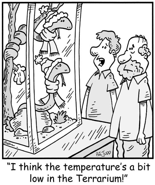 'I think the temperature's a bit low in the Terrarium!'