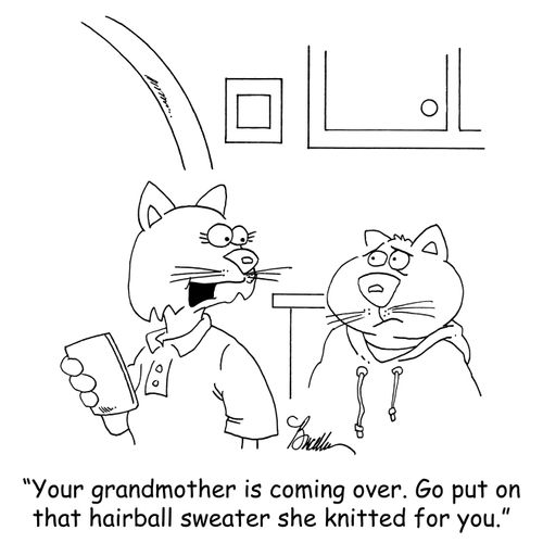 'Your grandmother is coming over. Go put on that hairball sweater she knitted for you.'