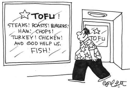 Tofu bi-products.