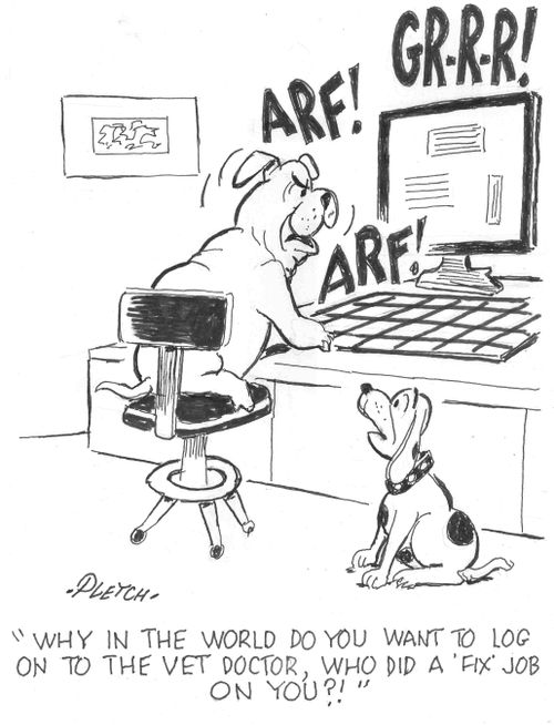 'Why in the world do you want to log on to the vet doctor. who did a 'fix' job on you?!'