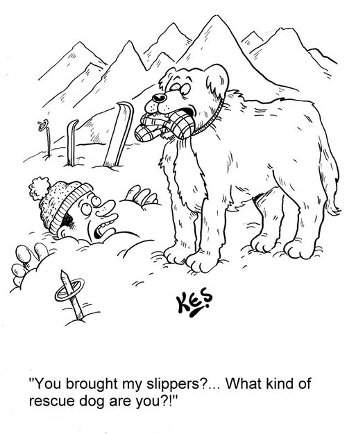 'You brought my slippers?... What kind of rescue dog are you?!'