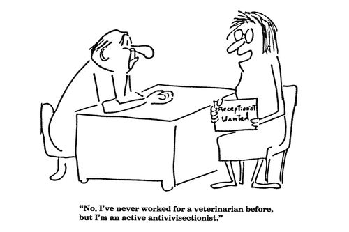 'No, I've never worked for a veterinarian before, but I'm an active antivivisectionist.'