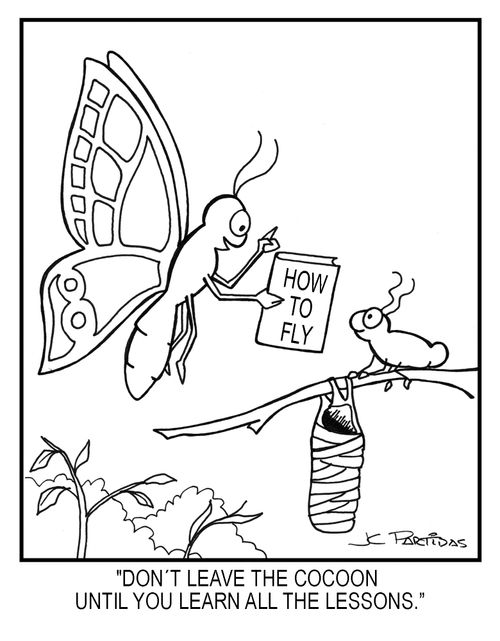 'Don't leave the cocoon until you learn all the lessons.'