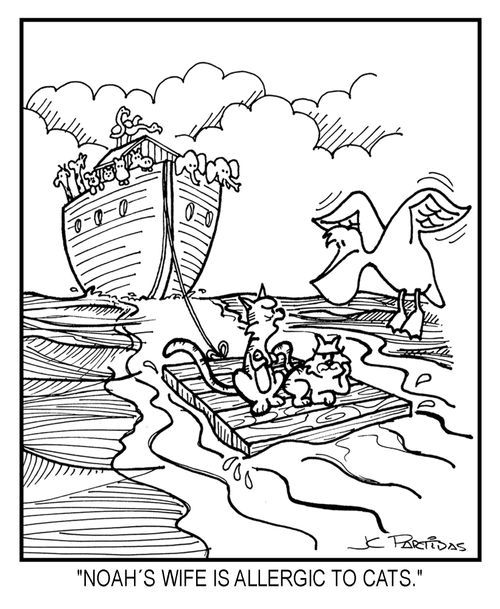 'Noah's wife is allergic to cats.'