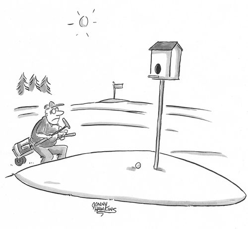Golfer on green sees impossible hole in birdhouse.