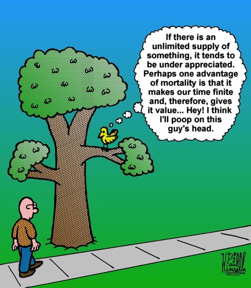 'If there is an unlimited supply of something, it tends to be under appreciated. Perhaps one advantage of mortality is that it makes our time finite and, therefore, gives it value. . . Hey! I think I'll poop on this guy's head.' 