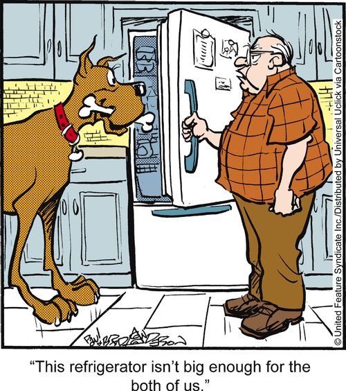 'This refrigerator isn't big enough for the both of us.'