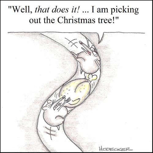 'Well, that does it! I am picking out the Christmas tree!'