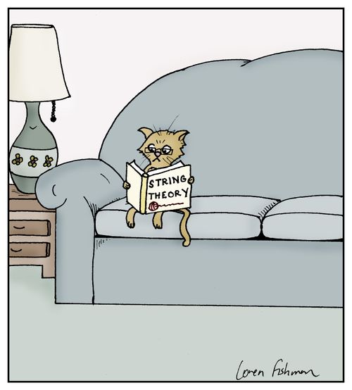 Cat reading about 'String Theory'.