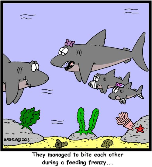 'They managed to bite each other during a feeding frenzy...'