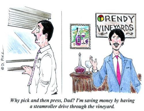 'Why pick and then press, Dad? I'm saving money by having a steamroller drive through the vineyard.'