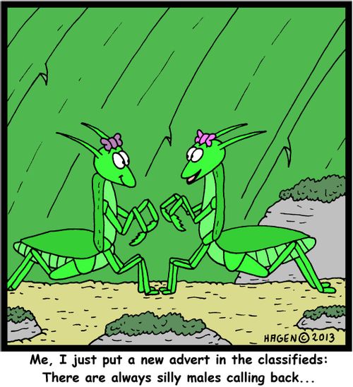 'Me, I just put a new advert in the classifieds: There are always silly males calling back...'