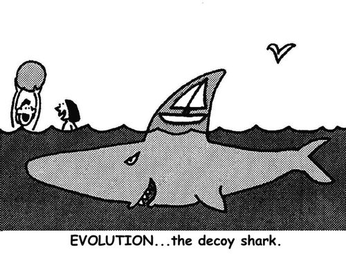 Evolution...the decoy shark.
