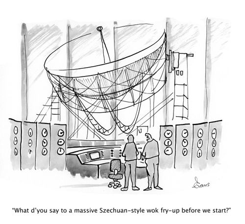 'What d'you say to a massive Szechuan-style wok fry-up before we start?'