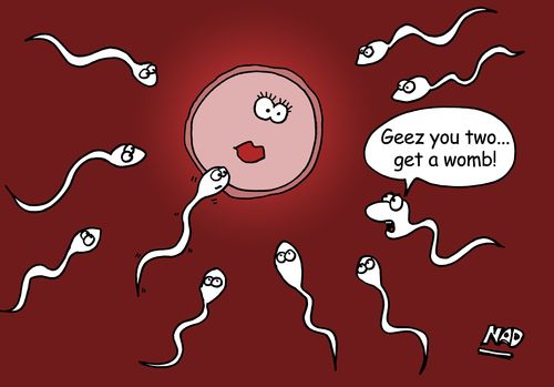 'Geez you two... get a womb!'