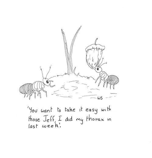 'You want to take it easy with those Jeff, I did my thorax in last week.'