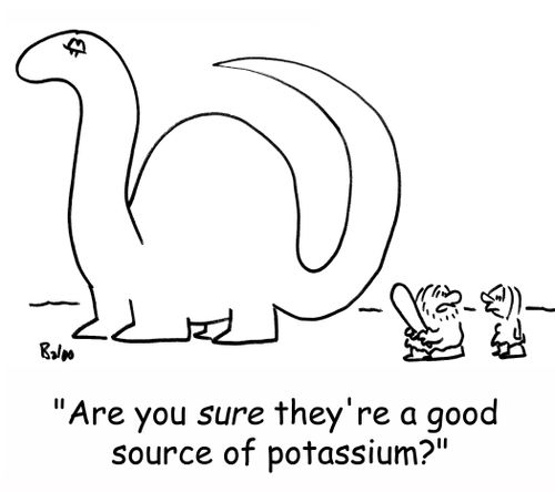 'Are you SURE they're a good source of potassium?'