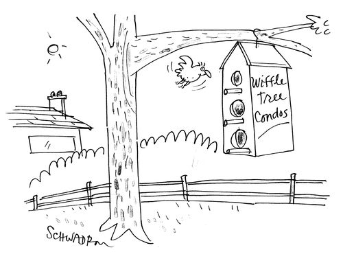 Wiffle Tree Condos.