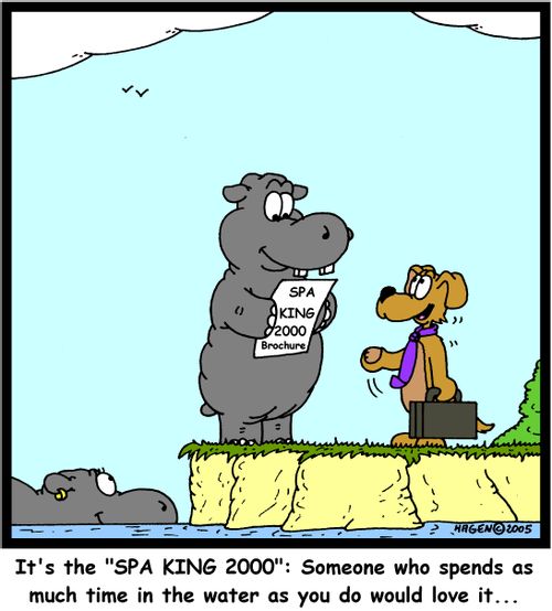 'It's the 'SPA KING 2000': Someone who spends as much time in the water as you do would love it...'
