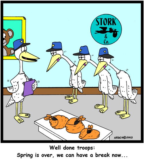 'Well done troops: Spring is over, we can have a break now...'