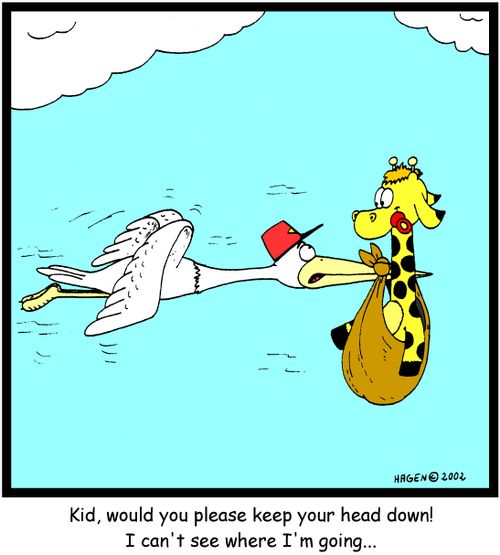 Kid, would you please keep your head down! I can't see where I'm going...