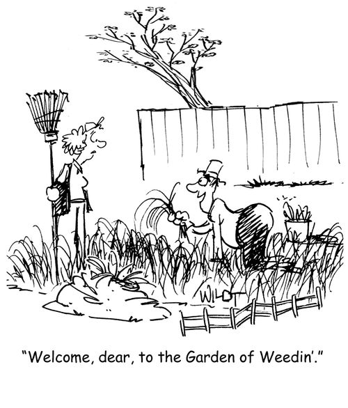 Welcome,dear, to the Garden of Weedin.