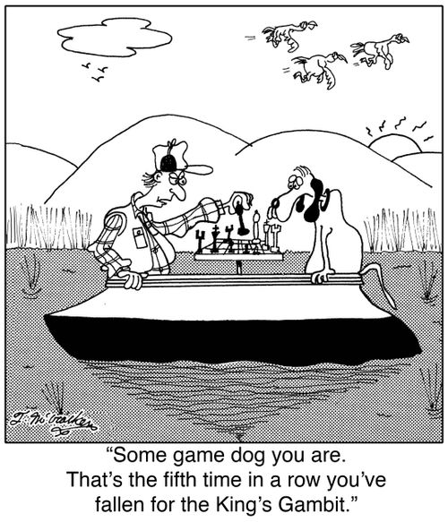 'Some game dog you are. That's the fifth time in a row you've fallen for the King's Gambit.'
