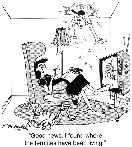 'Good news. I found where the termites have been living.'