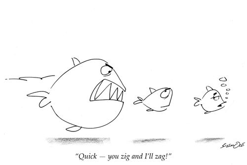 'Quick - you zig and I'll zag!'