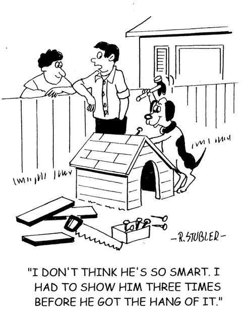 'I don't think he's so smart. I had to show him three times before he got the hank of it.'