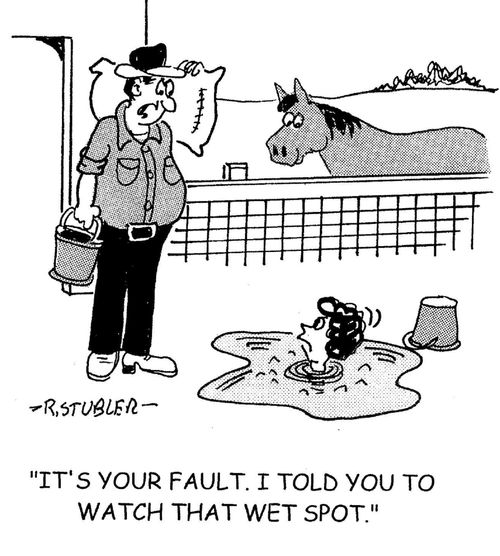 'It's your fault. I told you to watch that wet spot.'