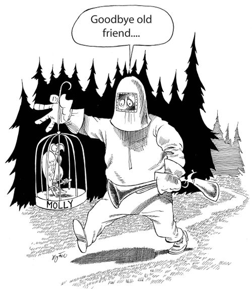 Bird Flu Hysteria.