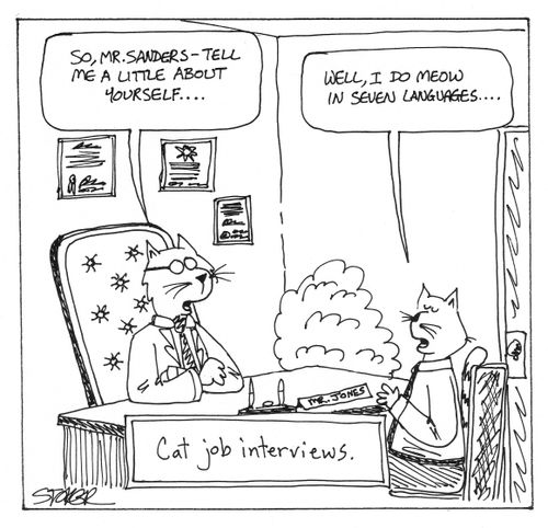 'Cat job interviews.'