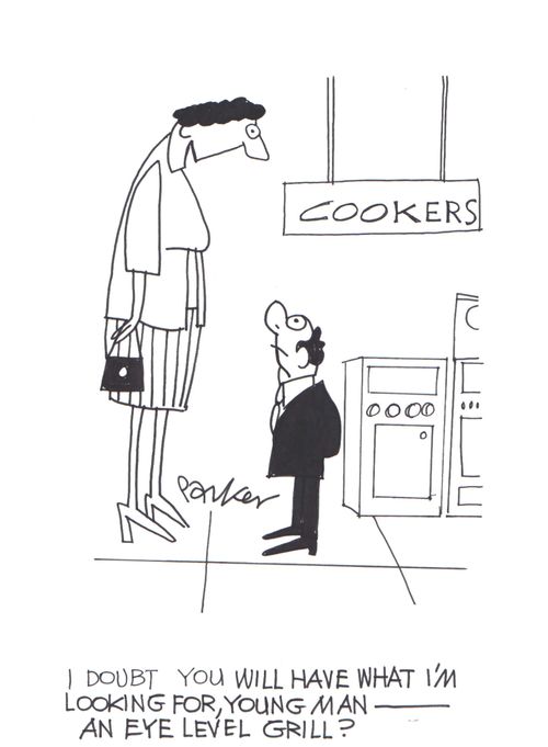 'I doubt you will have what I'm looking for, young man - an eye-level grill?'