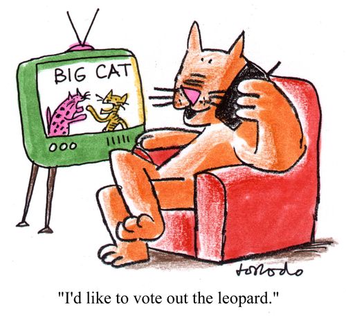 "I'd like to vote out the leopard."