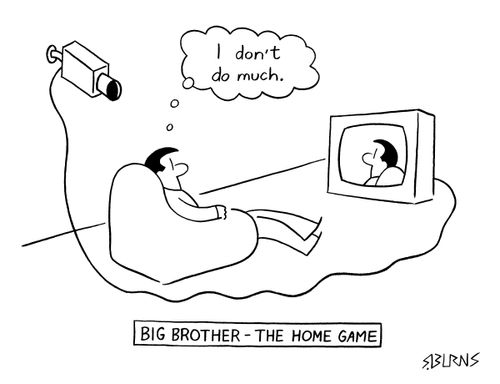 Big Brother: The Home Game