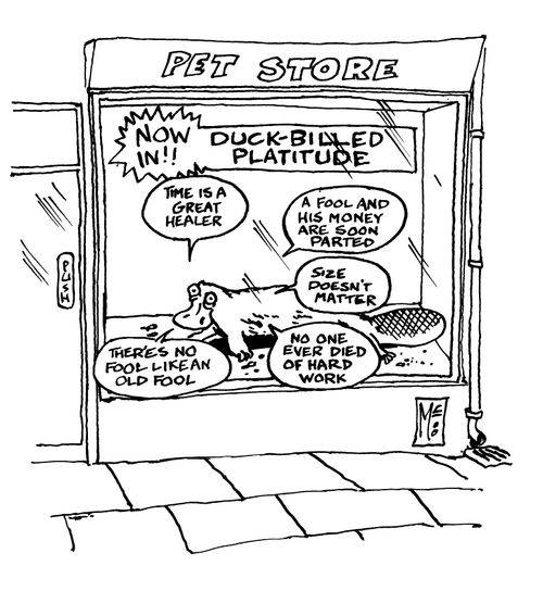 Pet shop 'Now in!! Duck Billed platitude'