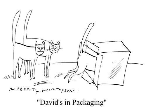 "David's in Packaging"
