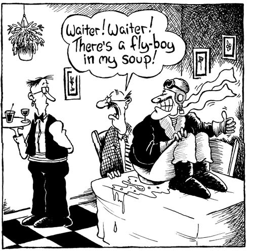 "Waiter! Waiter! There's a fly-boy in my soup!"