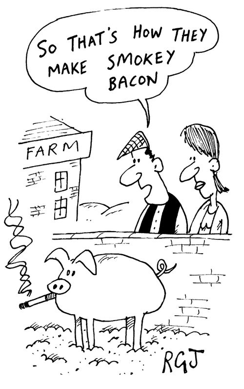 "So that's how they make smokey bacon."