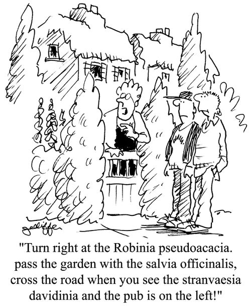 'Turn right at the Robinia pseudoacacia, pass the garden with the salvia officinalis, cross the road when you see the stranvaesia davidinia and the pub is on the left!'