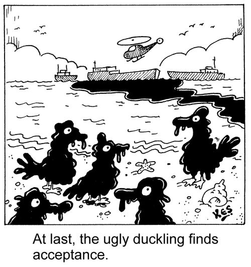 At last, the ugly duckling finds acceptance.