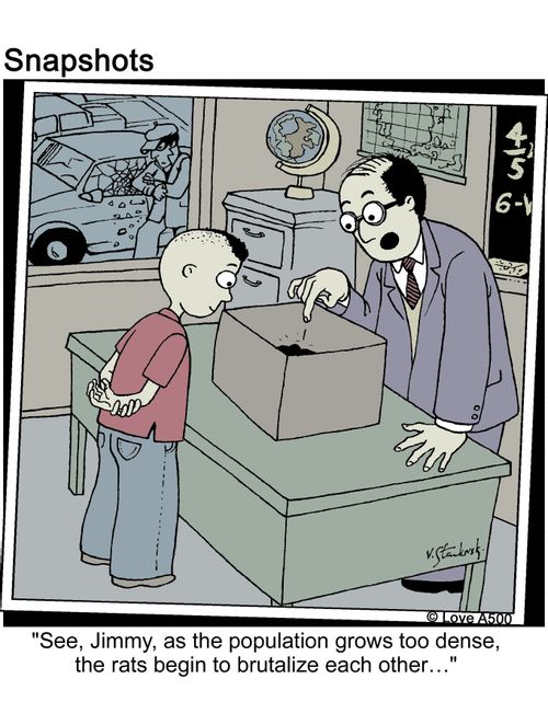 'See, Jimmy, as the population grows too dense, the rats begin to brutalize each other...'