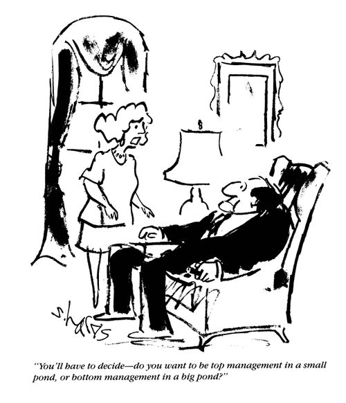 'You'll have to decide - do you want to be top management in a small pond, or bottom management in a big pond?'