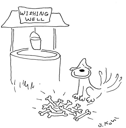 Dog at Wishing Well.