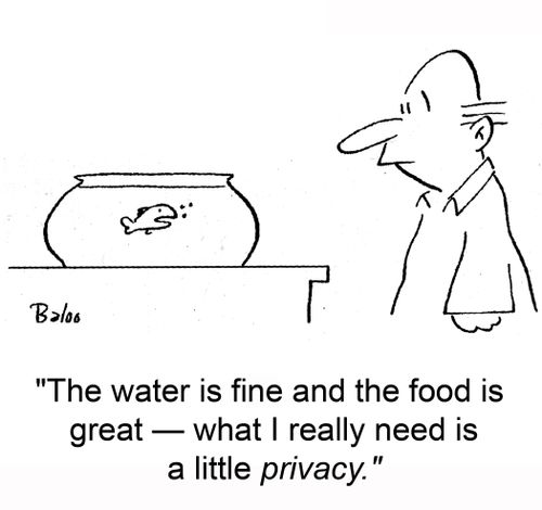'The water is fine and the food is great -- what I really need is a little privacy.'