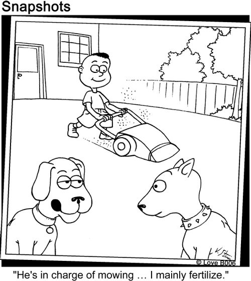 "He's in charge of mowing... I mainly fertilize."