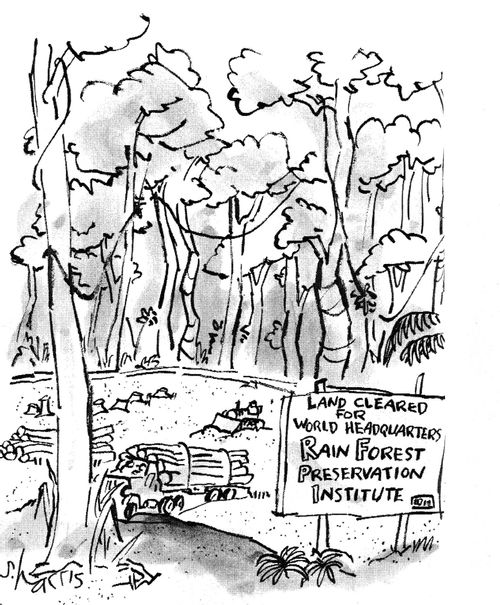 Land Cleared for World Headquarters - Rainforest Preservation Institute.