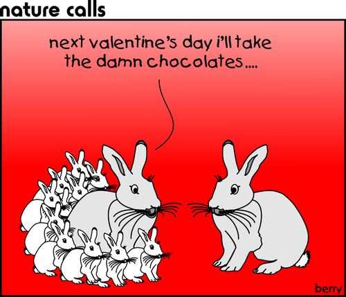"Next Valentine's Day I'll take the damn chocolates..."