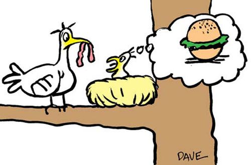 Mother bird bringing young in nest a worm, young bird wants a burger.